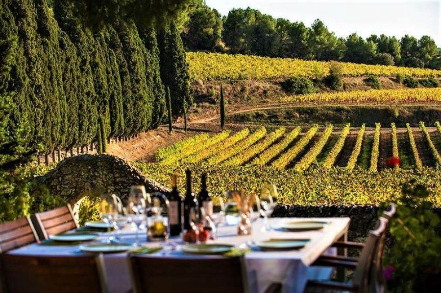 The Wine Hunter