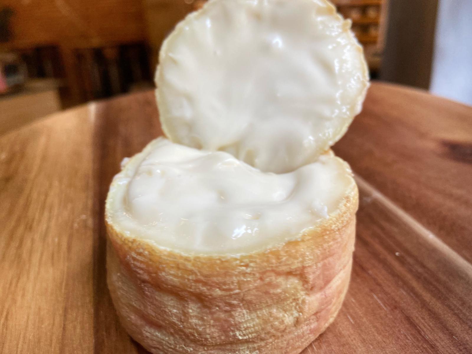 Cheese