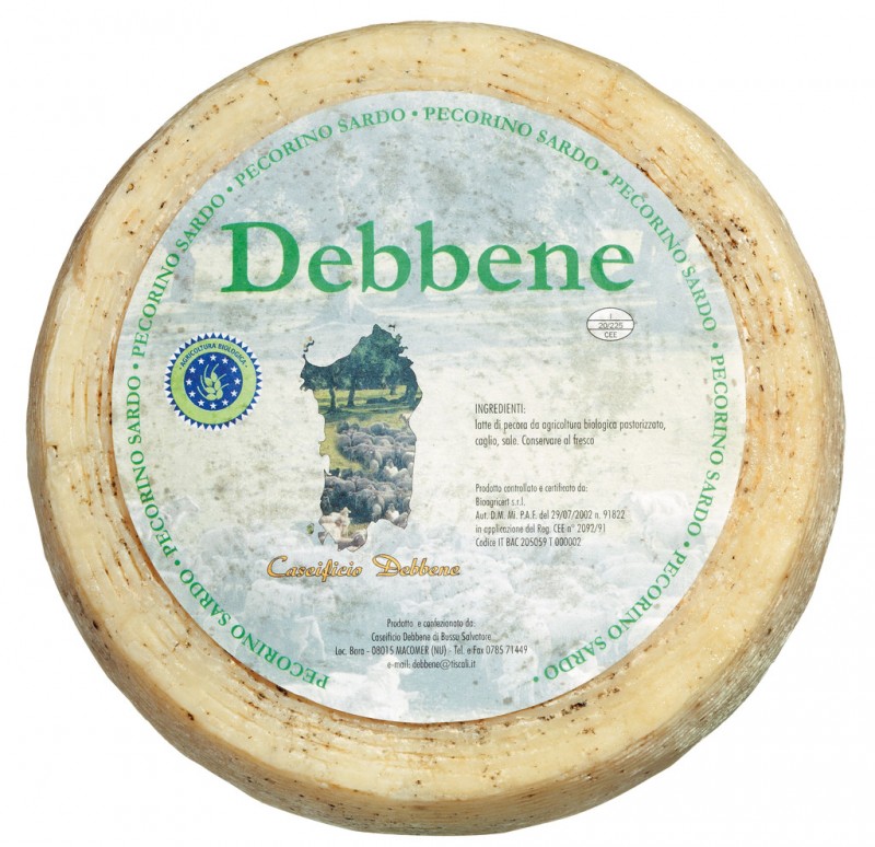 Cheese
