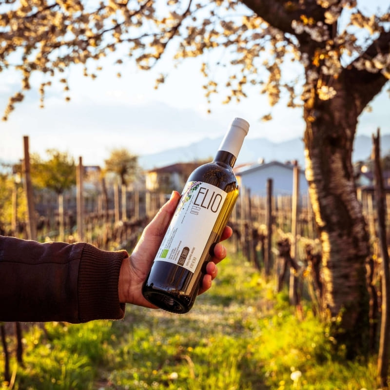 Elio Vini