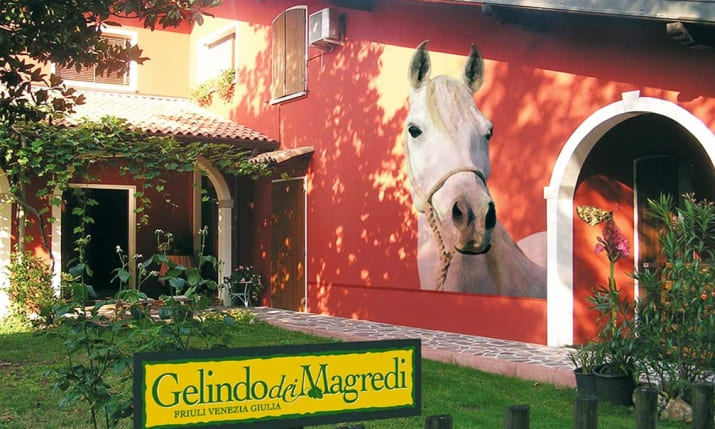 Gelindo dei Magredi