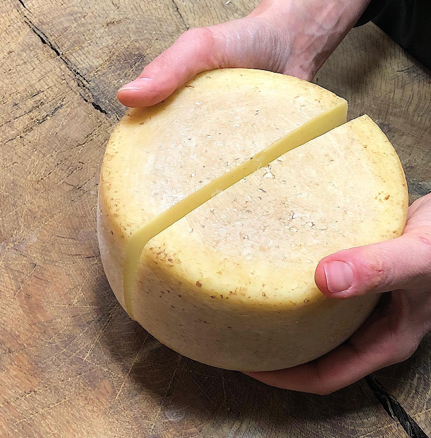 Cheese Bra