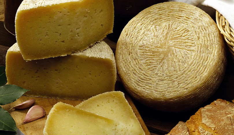 Cheese Bra