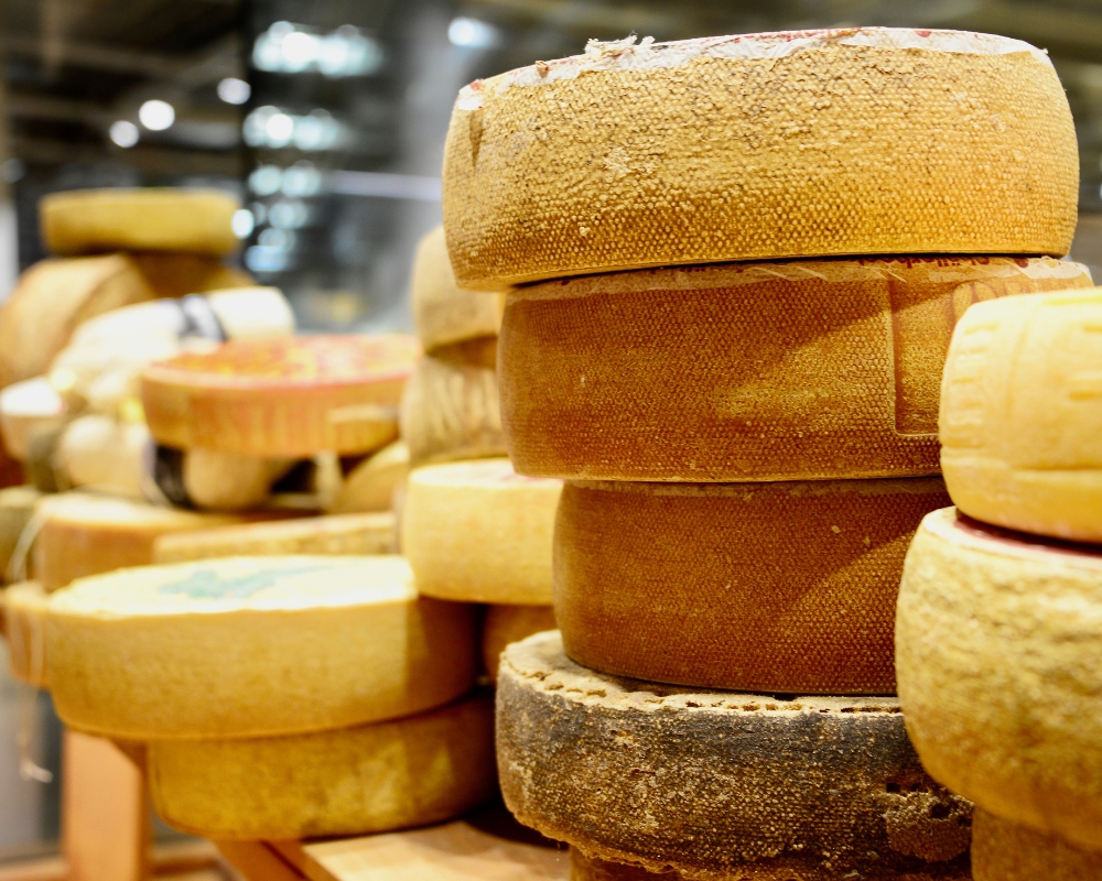 Cheese Bra