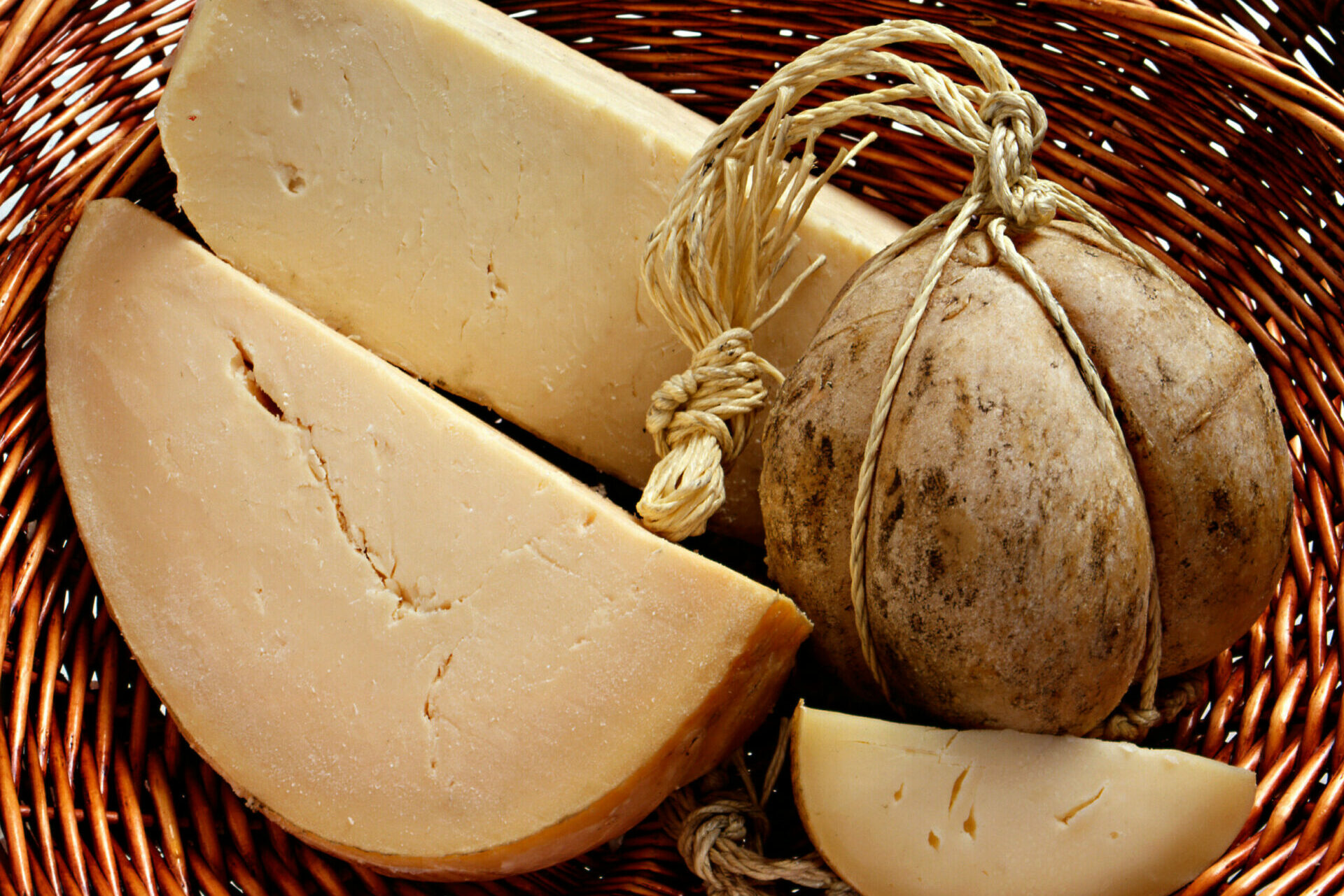 Cheese Bra