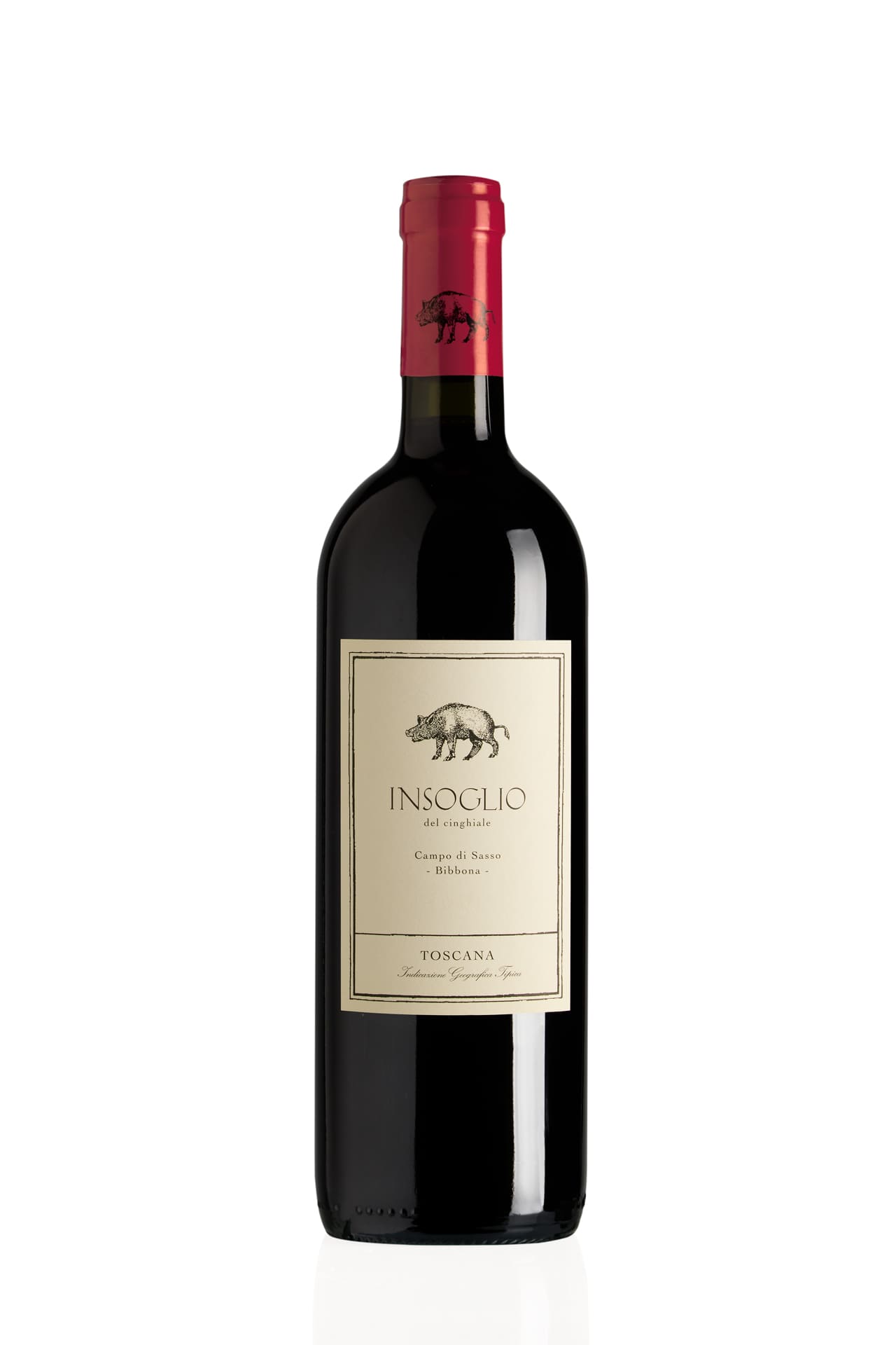 Tenuta Campo di Passo vini
