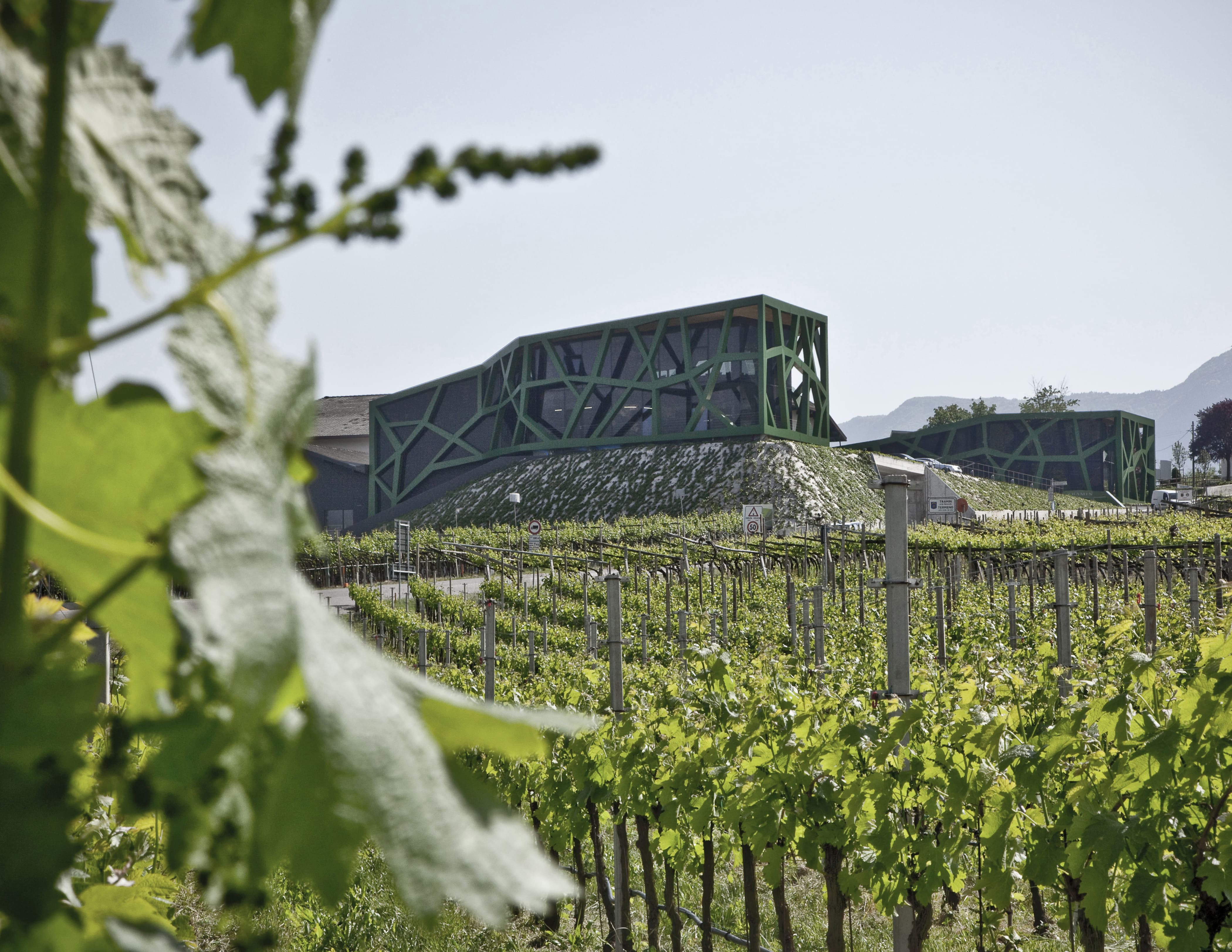 Cantina Tramin