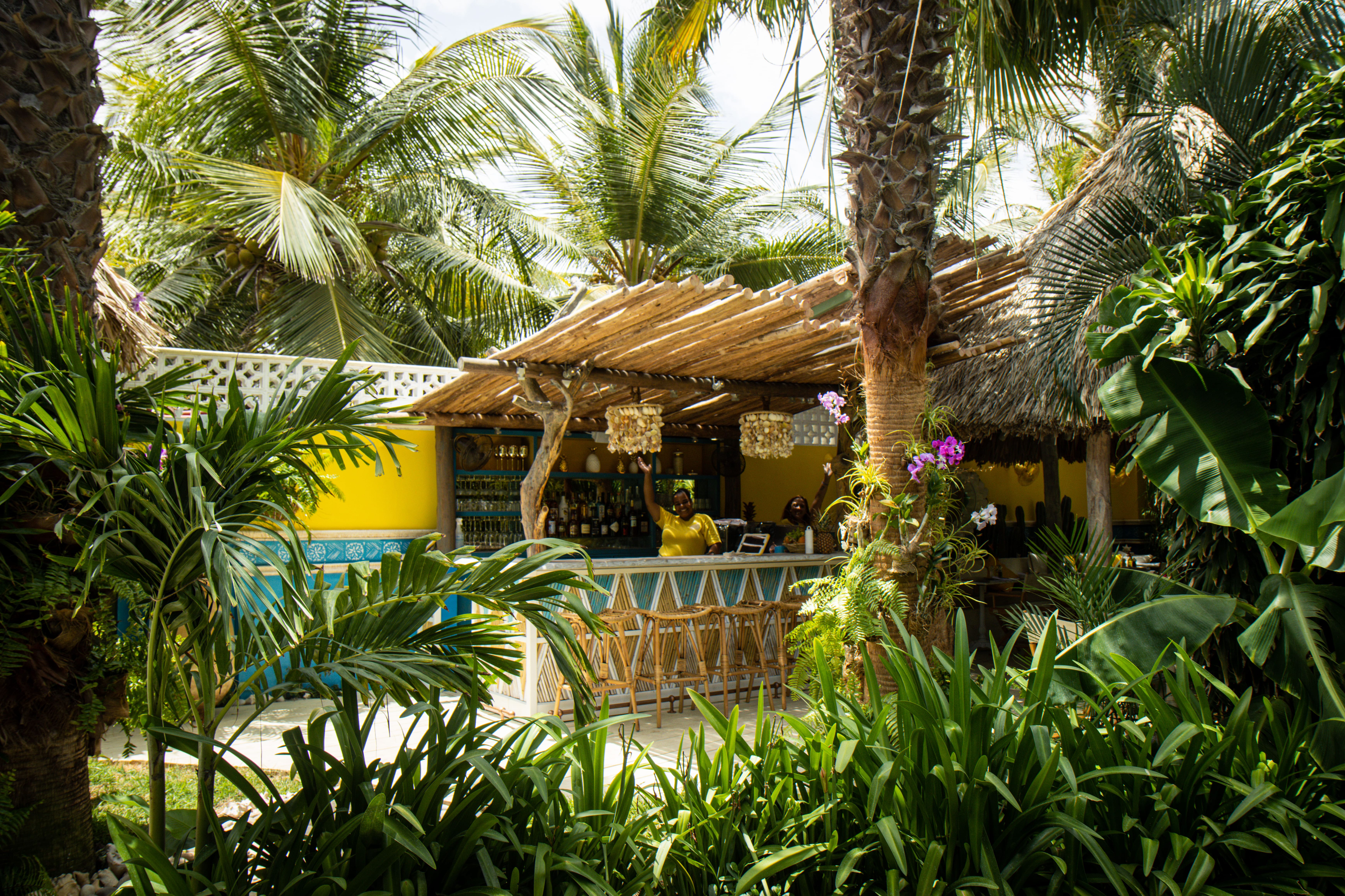 aruba