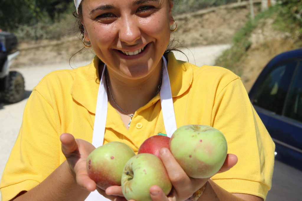 azienda agricola tre croci