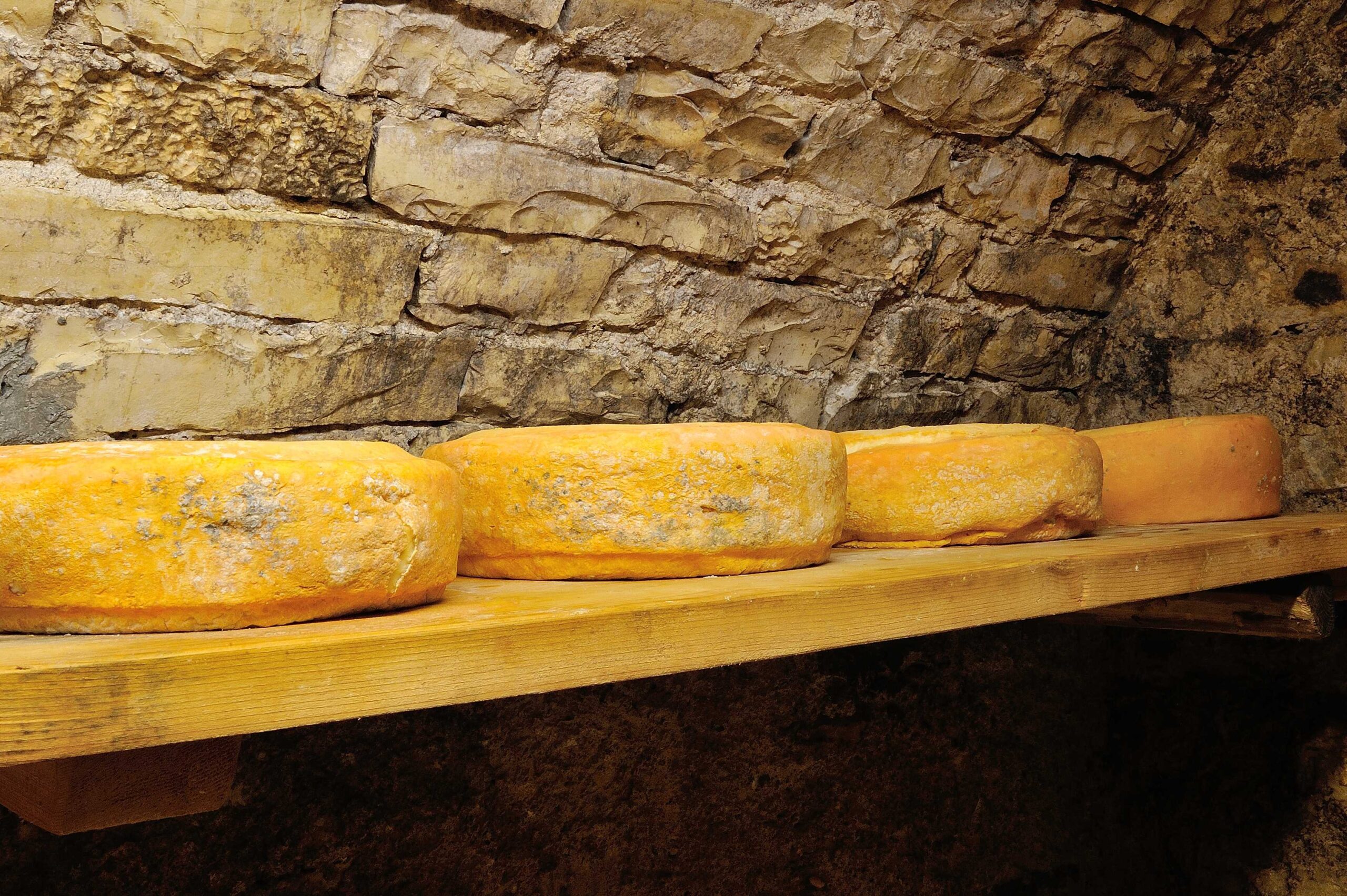 Mostra Bastardo e Morlacco del Grappa