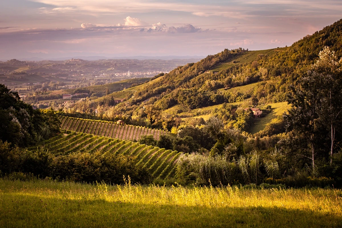Nizza Docg
