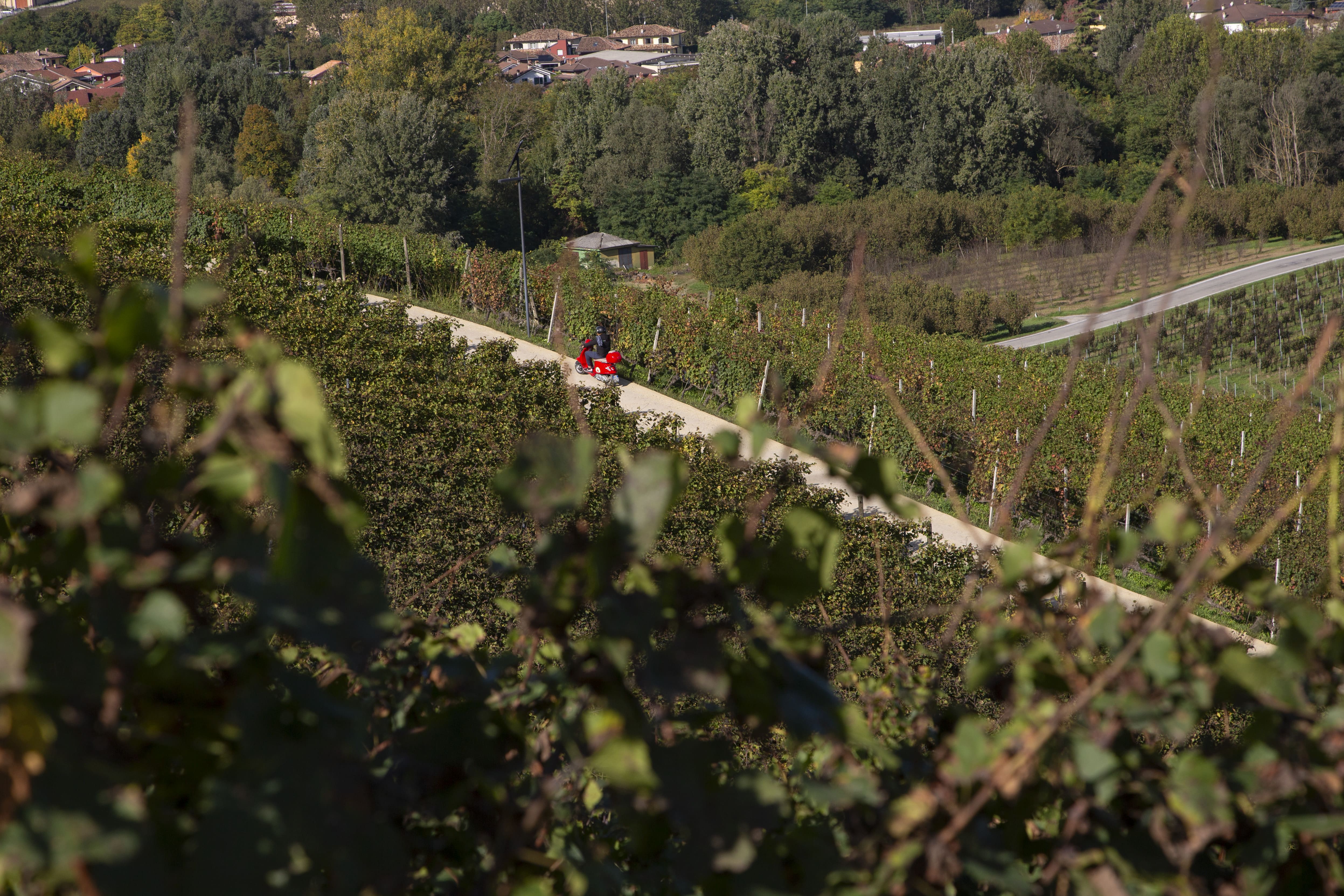 Cascina Galarej Langhe