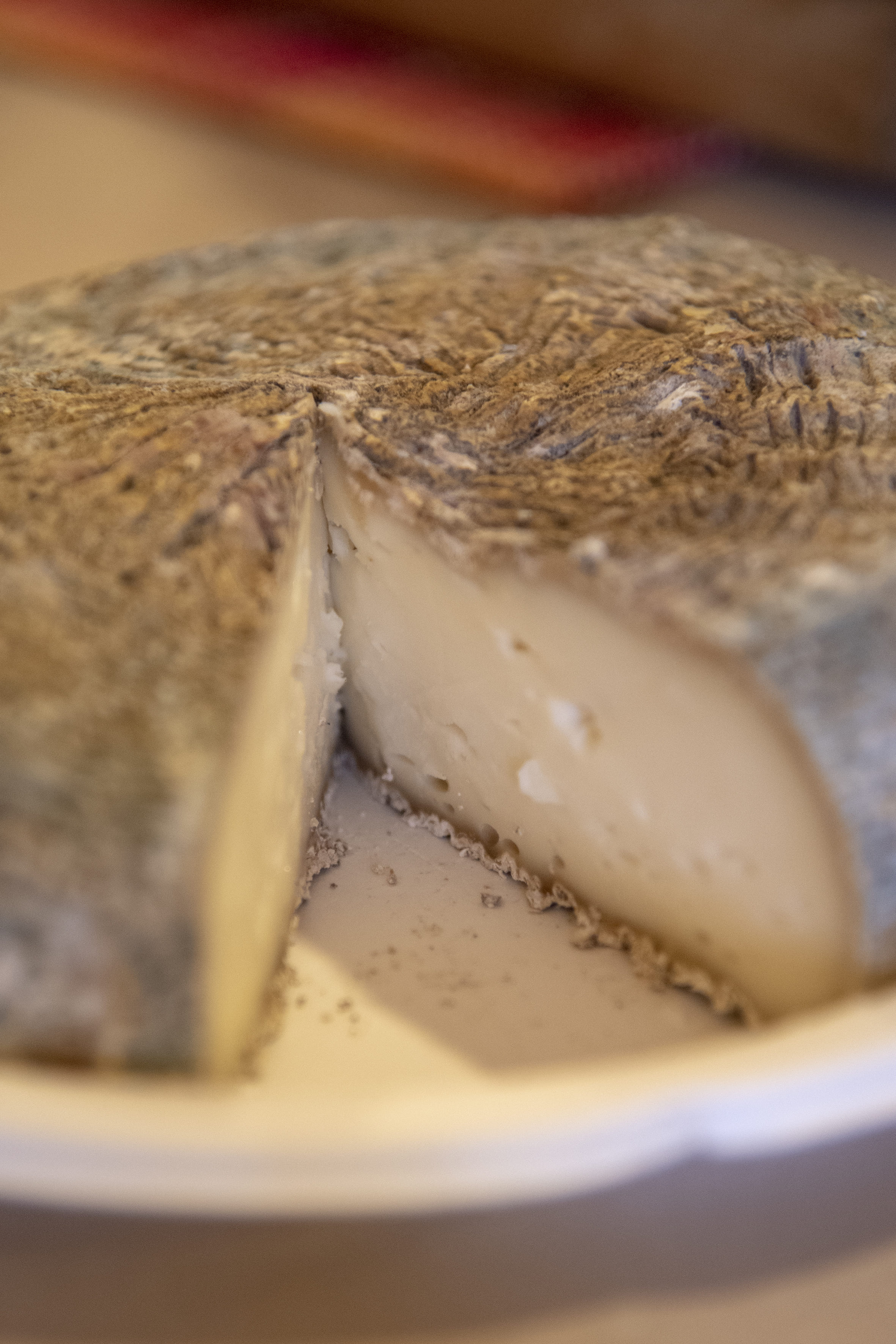 Caprini d'Aspromonte