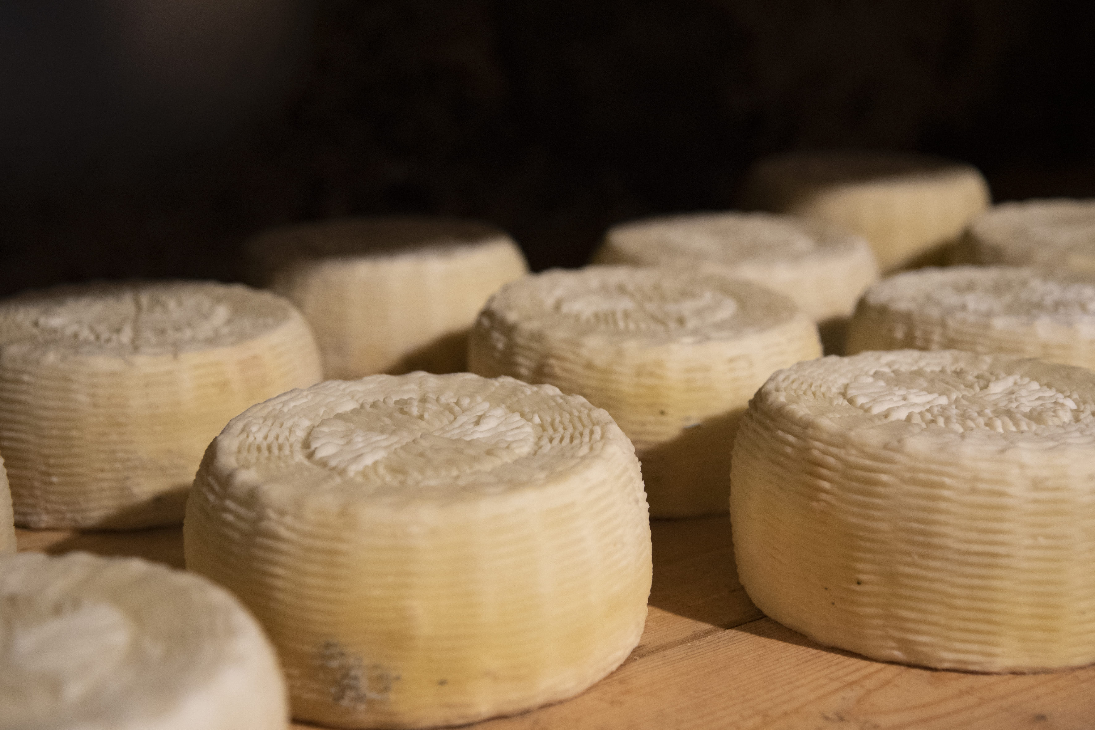 Caprini d'Aspromonte