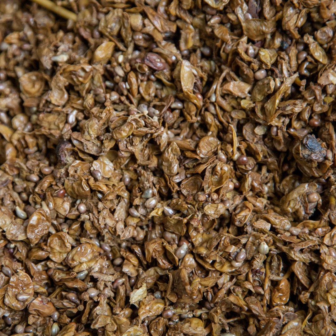 grappa del trentino