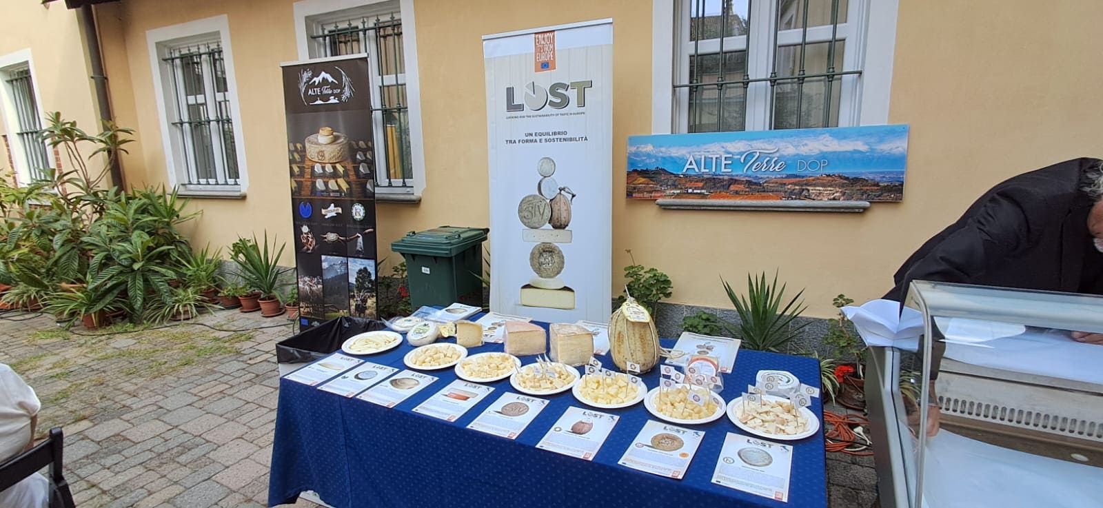Alte terre