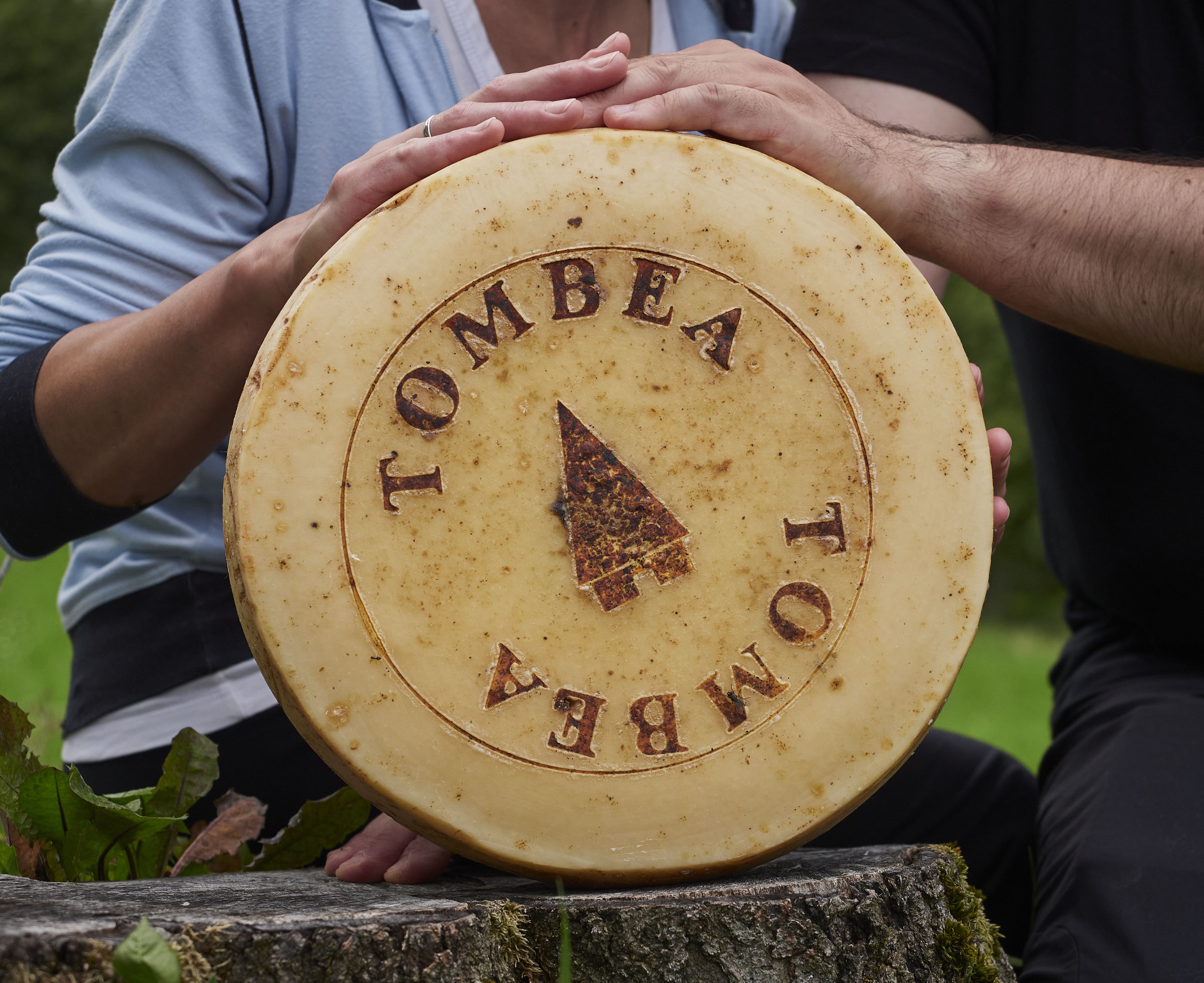 Tombea