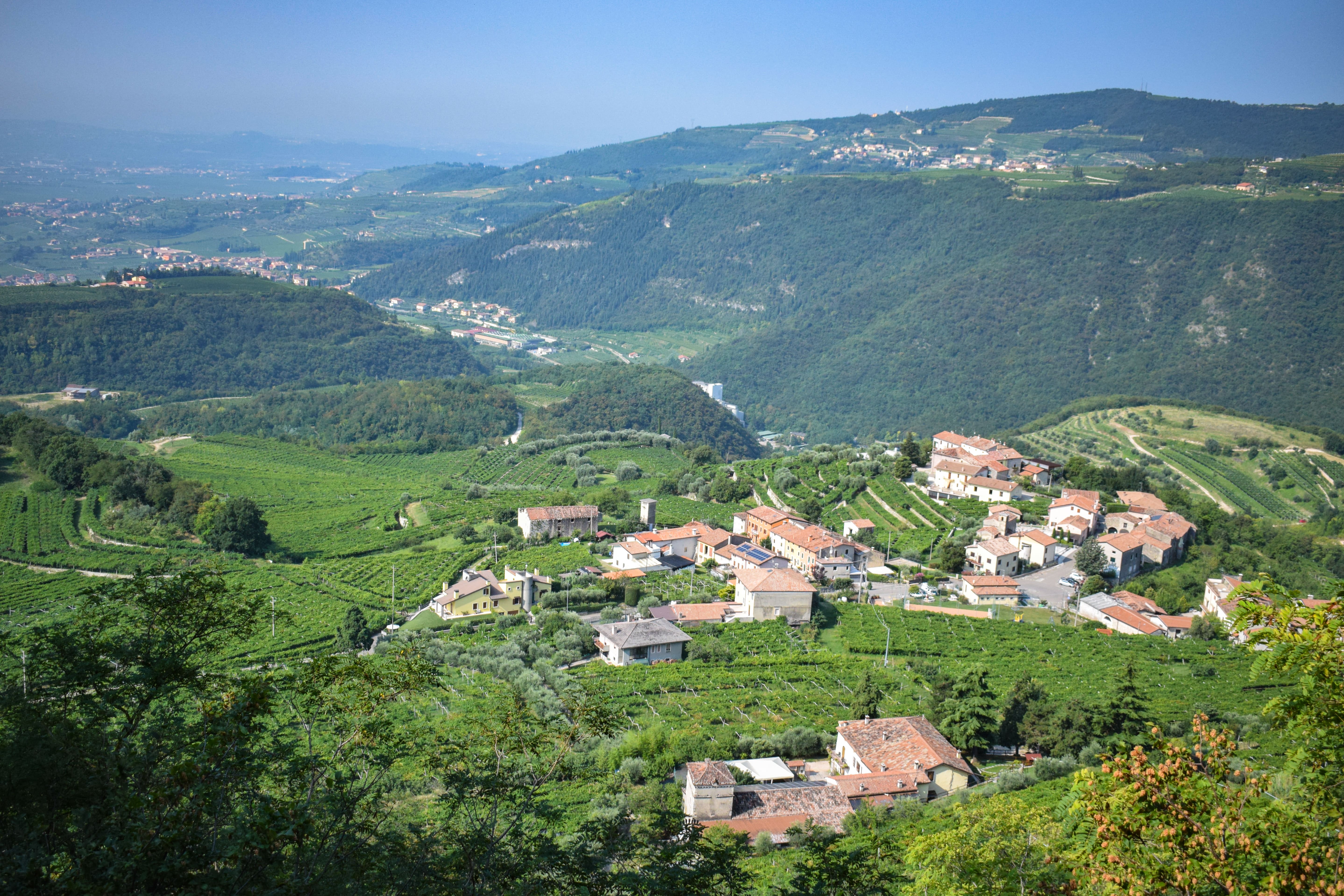 Napoli in Rosso Amarone