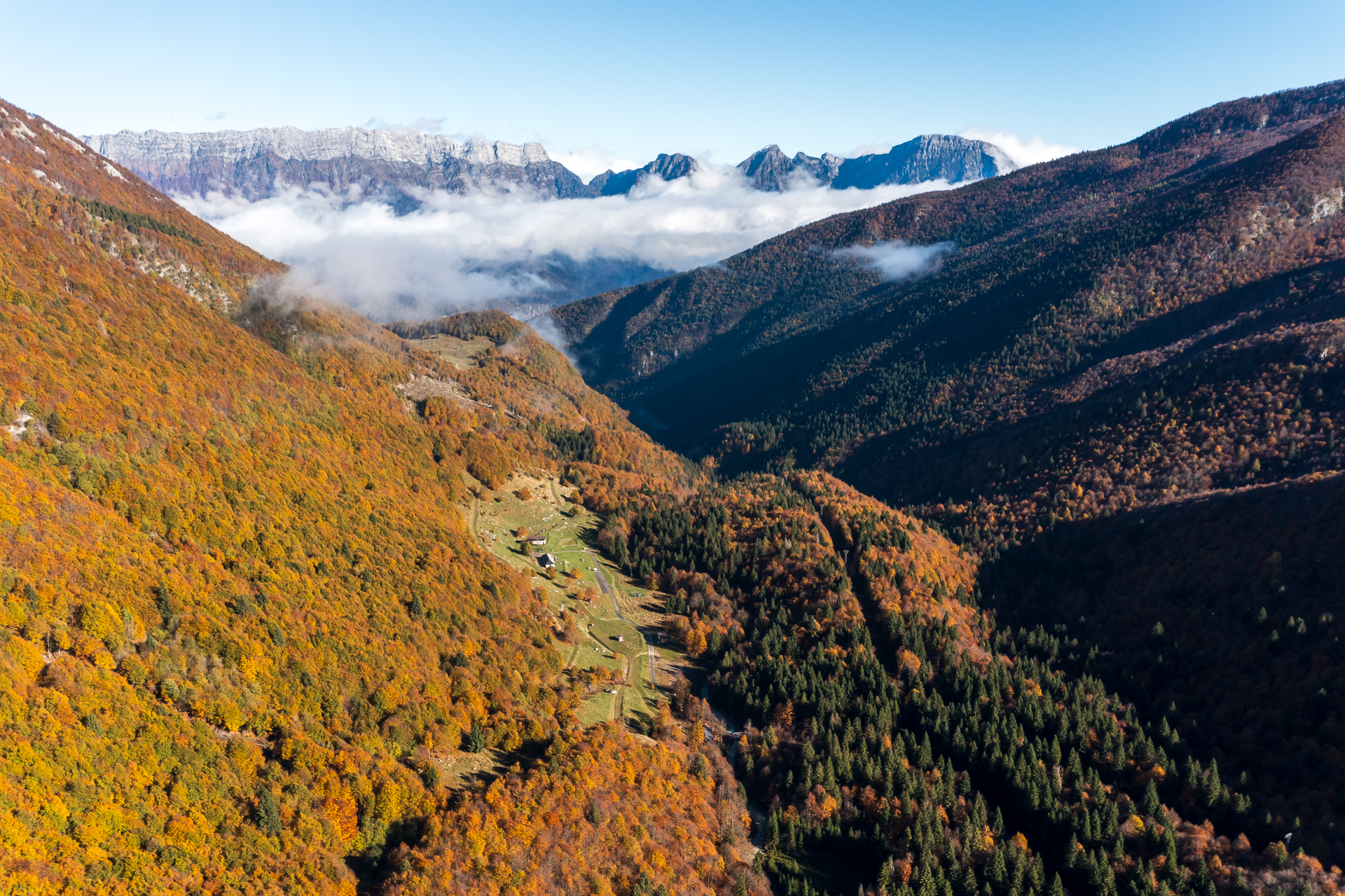 Foliage FVG