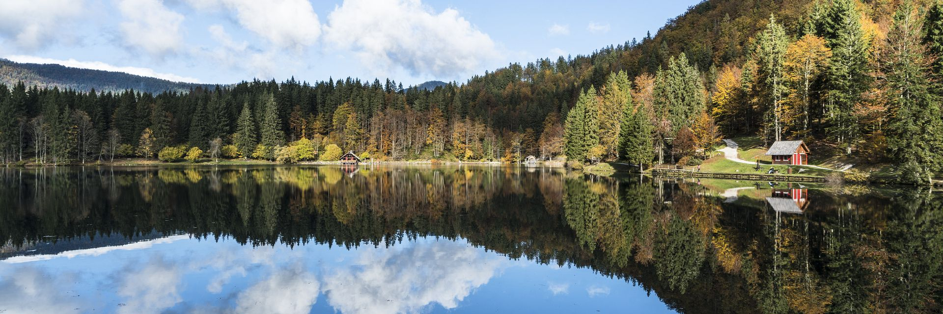 Foliage FVG