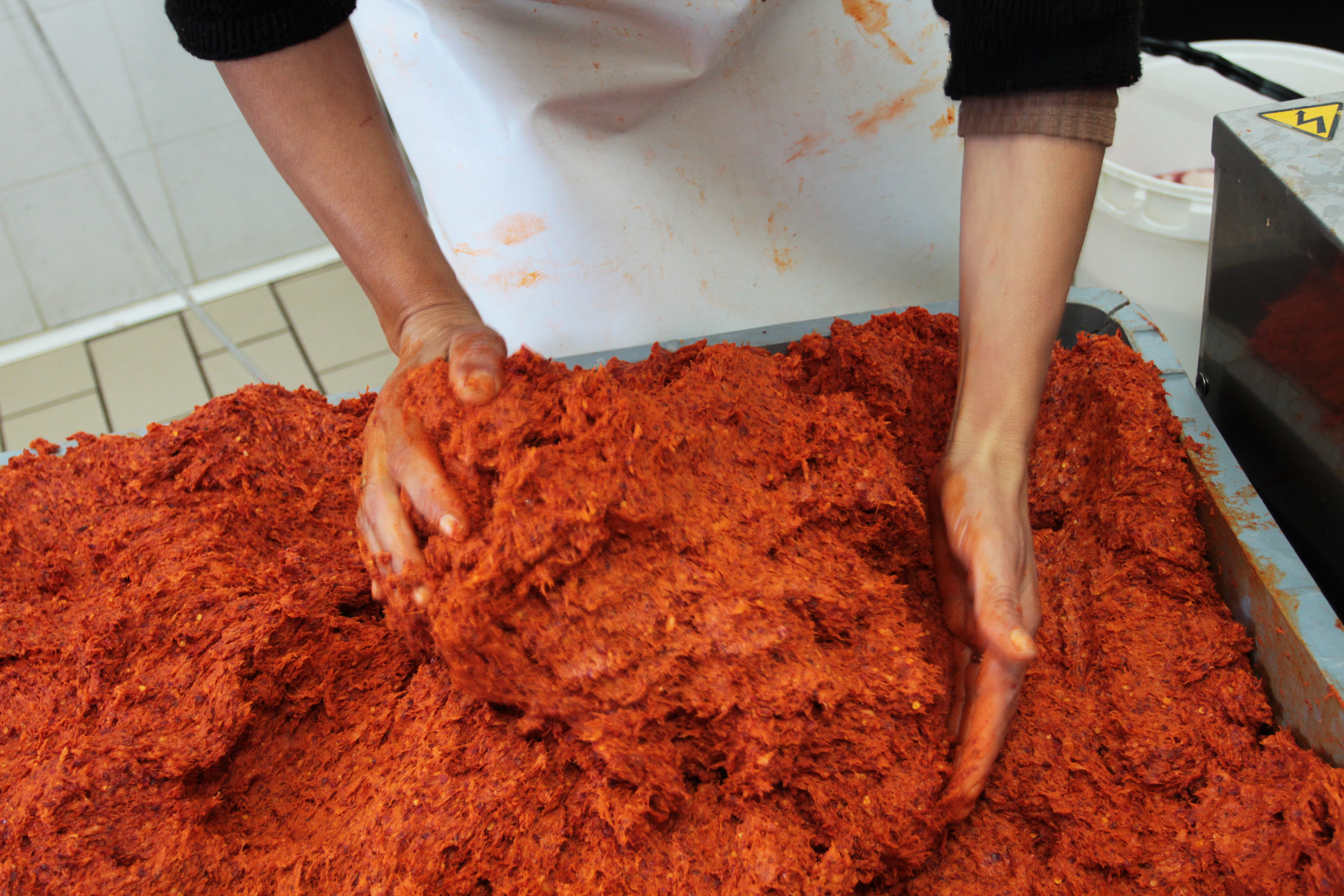 Nduja Bellafonte