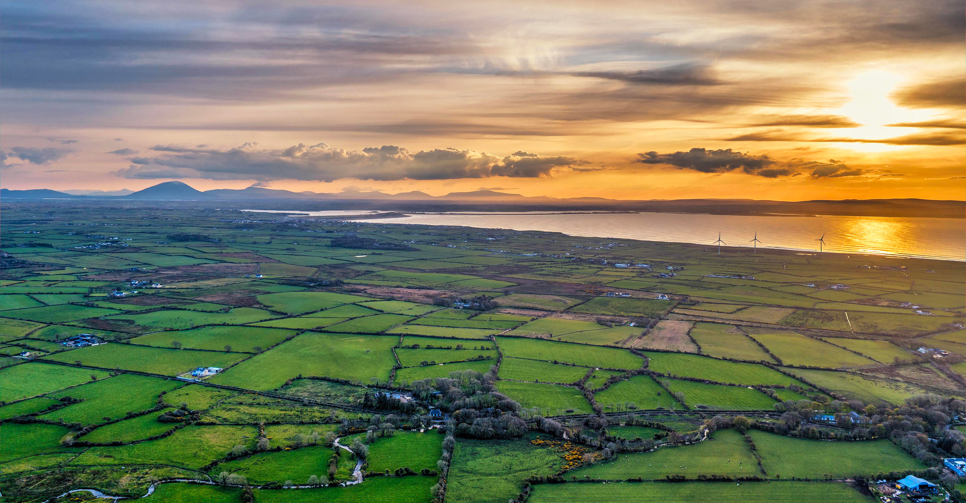 Bord Bia