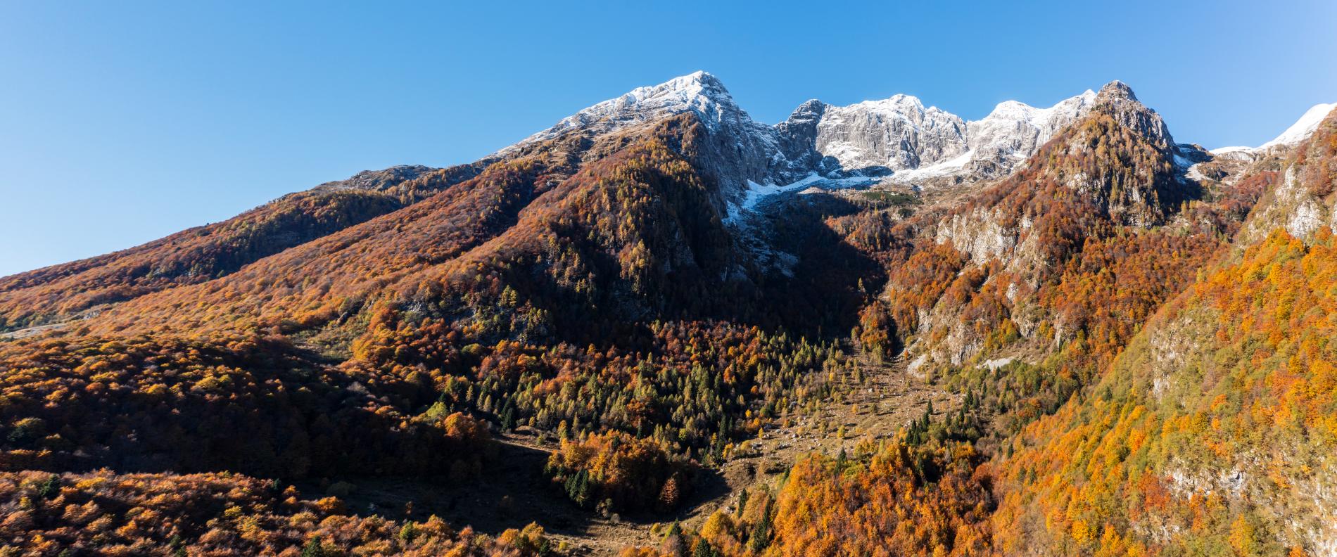 Alla scoperta dei Fogolars