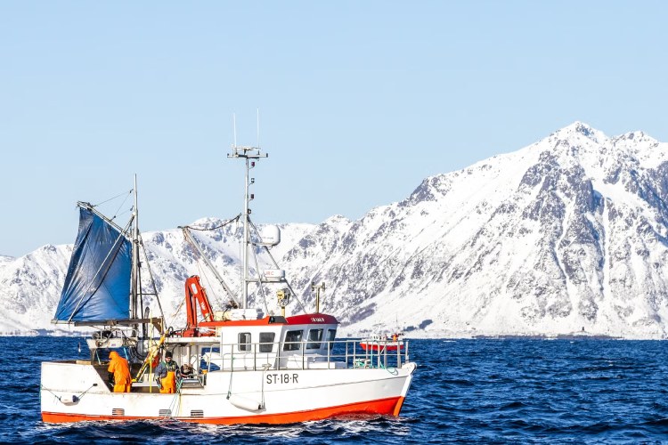 Norvegian Seafood Council