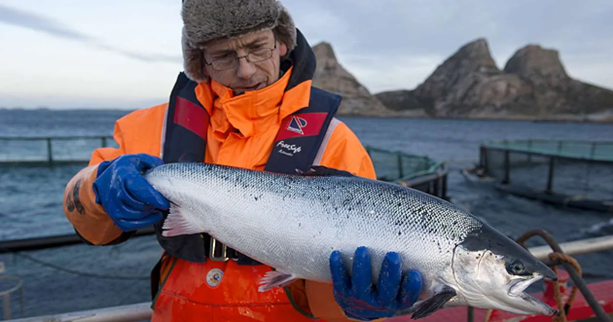 Norvegian Seafood Council