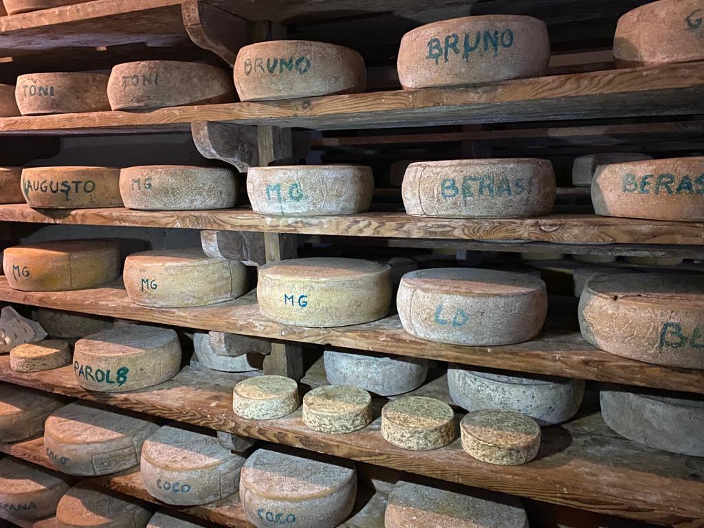 Malga Stabolone