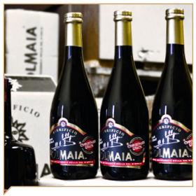 Olmaia