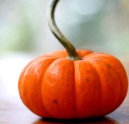 Hallloween